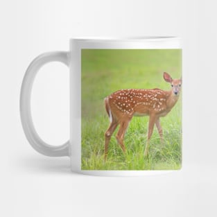 Fawn - White-tailed deer Mug